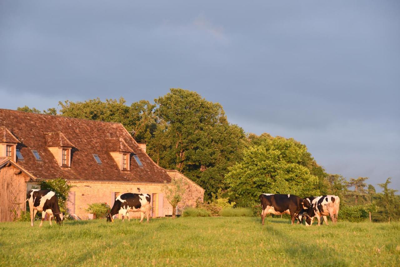 Chambre D'Hotes La Ferme De La Croix. Saint-Avit-Senieur Екстер'єр фото