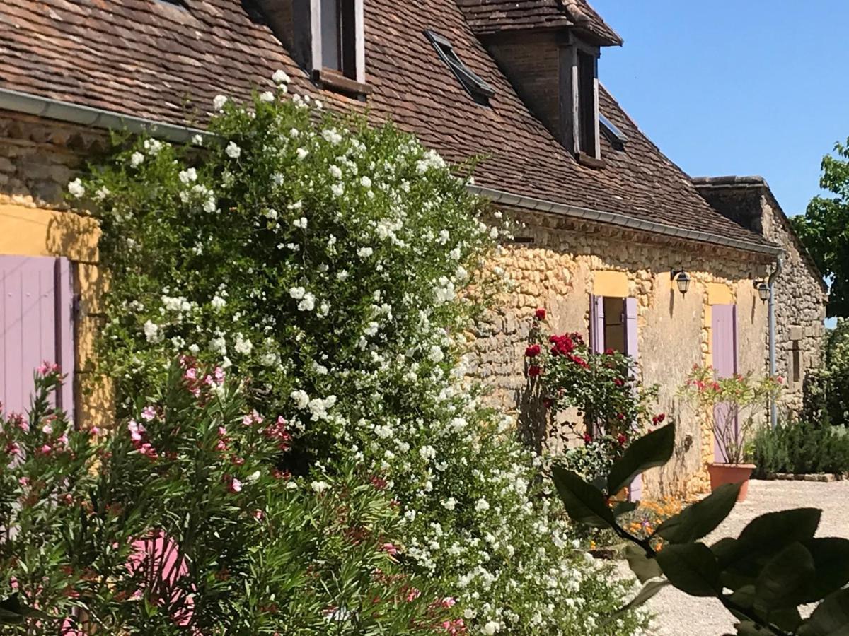 Chambre D'Hotes La Ferme De La Croix. Saint-Avit-Senieur Екстер'єр фото